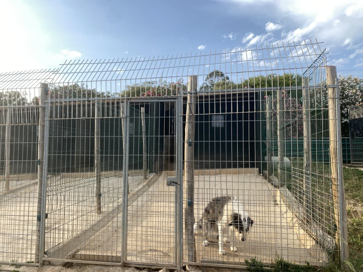 Quinta da Patada